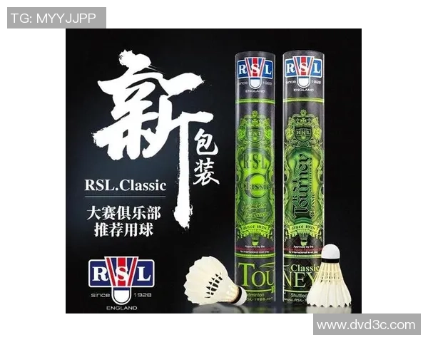 从零基础到高手之路羽毛球节奏与技巧全方位指南