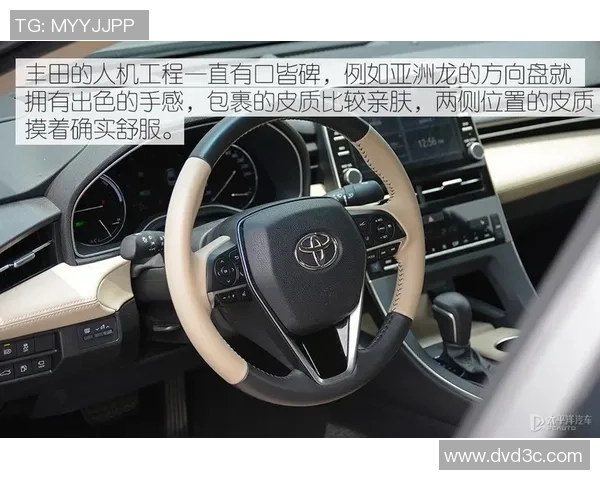 日本足球明星的巅峰之路与传奇成就探秘