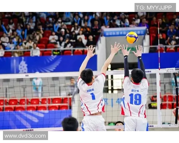 杭州排球队逆袭之路的真实记录与背后故事揭秘